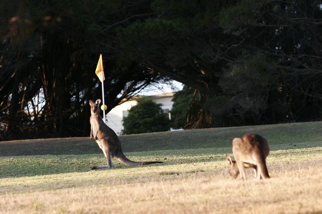 Lakeside At mallacoota Exterior foto